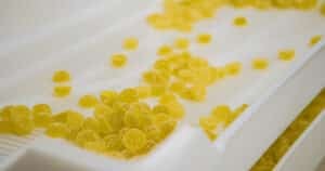 A clean, white conveyor system transports a batch of sugar-coated yellow cannabis gummies, likely infused with CBD or THC. The gummies appear to be freshly made and are moving through a food-grade processing or packaging stage in a sterile production facility. The image emphasizes quality control and industrial-scale edible manufacturing. The uniformity of the gummies and the sanitized environment suggest compliance with modern food and cannabis safety regulations.